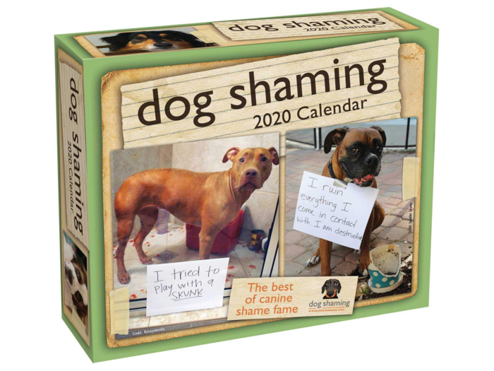 A calendar of dog-shaming photos