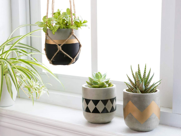 A cute set of planters