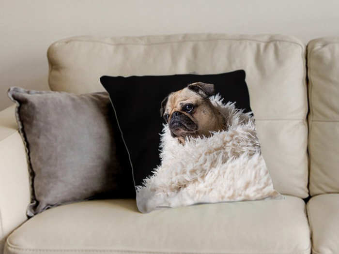 A pillow that immortalizes their photogenic pet