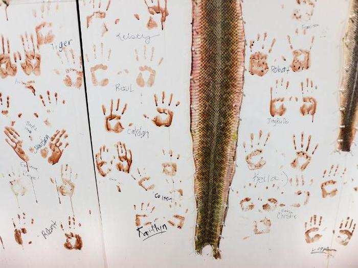 Humans kill plenty of animals directly, too. This image by Jo Anne McArthur shows hanging rattlesnake skins in Texas, next to handprints made in snake blood from people who have skinned the snakes.