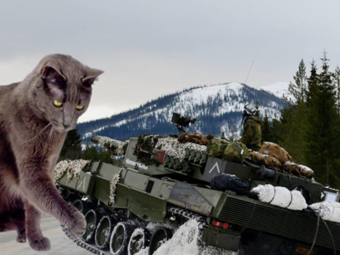 This cat is tipping over a German Leopard 2A4 like it