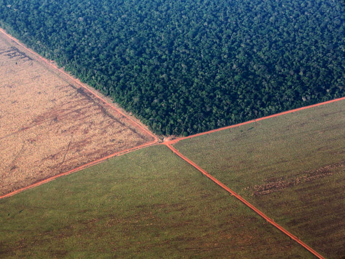 Corn- and soybean-based ethanol have been touted as more sustainable alternatives to petroleum fuel, but producing them still releases greenhouse gases. Plus, farmers often clear forest land to produce materials for these biofuels.