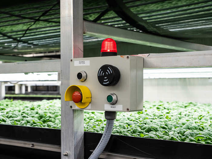 Sensors, controls, and backups help ensure that the plants can grow in the best conditions possible ...