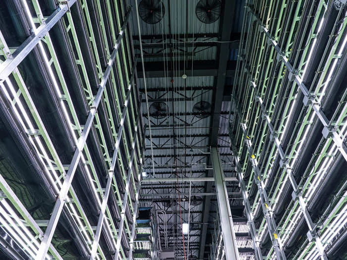 The racks of trays resembled a server room in an office, except that each row had plants growing on it ...