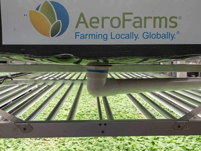 The farm has a variety of high-tech solutions to optimize plant growth, including computer-controlled misting...