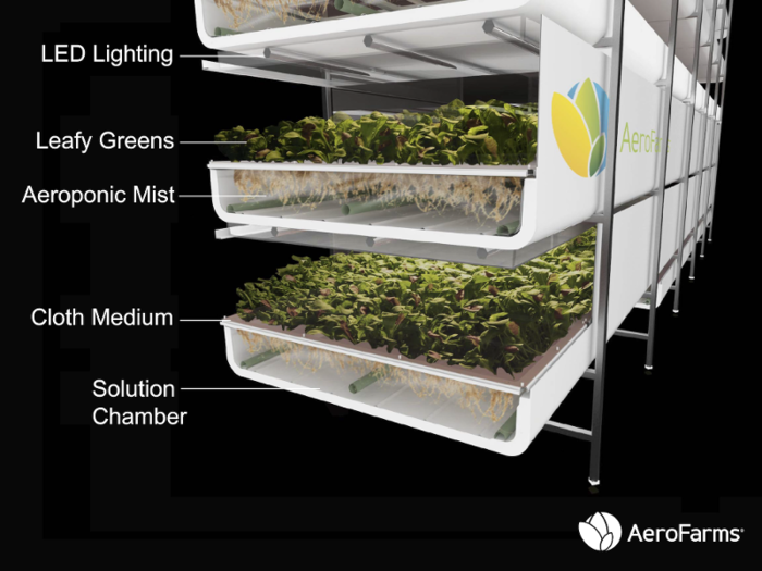 Aeroponics is a seemingly simple but cutting-edge growing process.