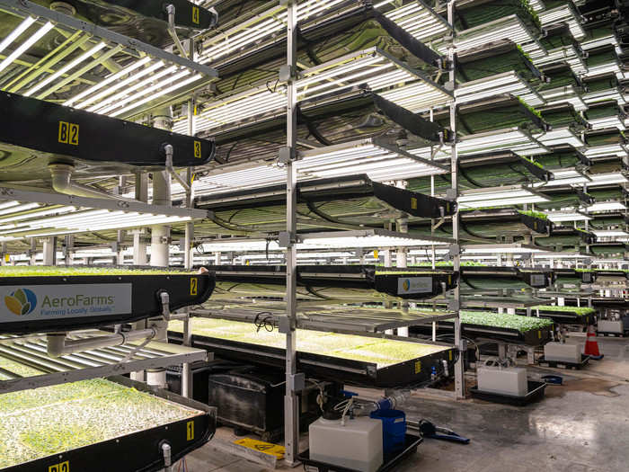 This high-tech, one-acre vertical farm can be found at an old steel plant in Newark, New Jersey.