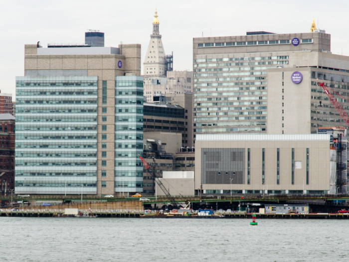 3. New York University School of Medicine — New York, New York