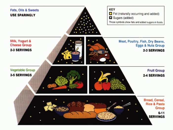 Myth: The food pyramid is the gold standard of nutrition.