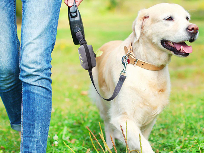 A waste bag holder that can be attached to their leash