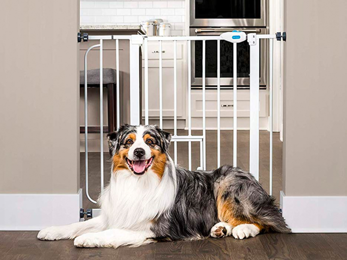 A pet gate to block off doorways