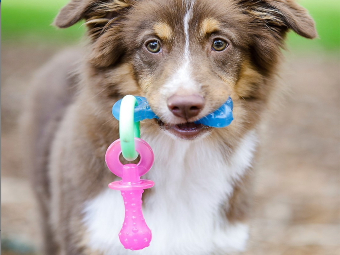 A teething toy