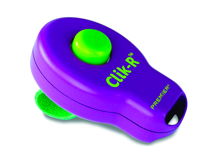 A clicker to help train your puppy