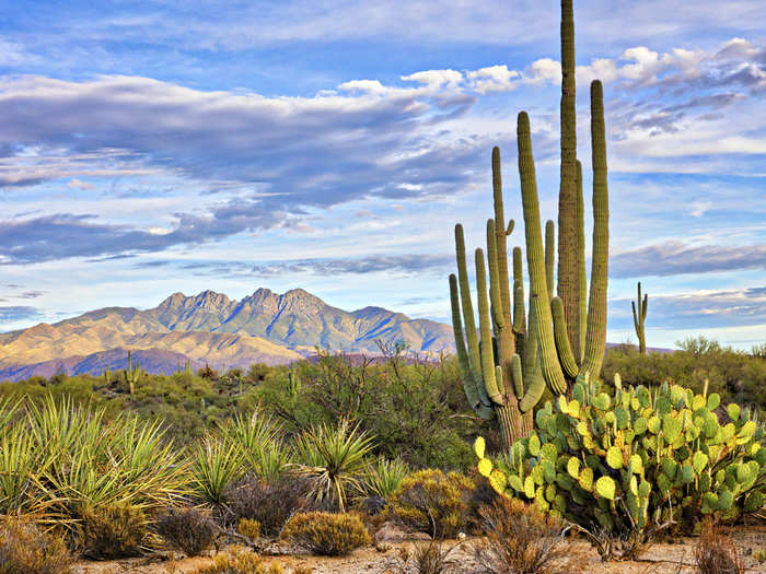 9. Apache Junction, Arizona