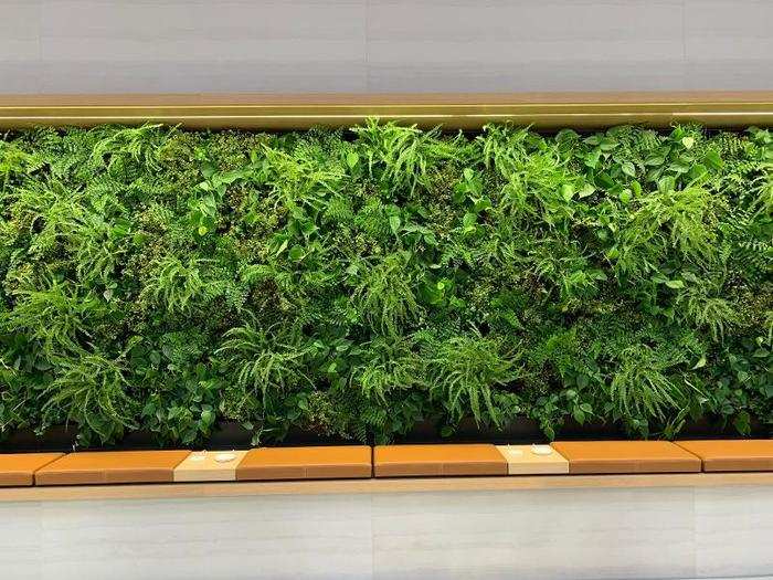 Both sides of the store have a wall of greenery.