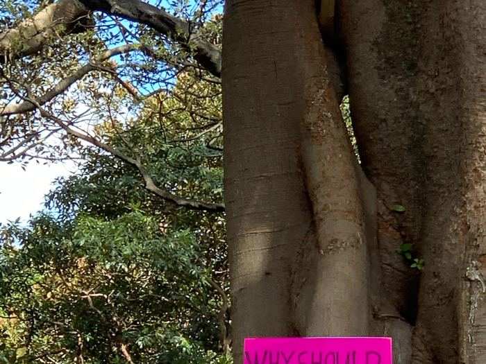 Australians rally as the world gears up for what could be the largest climate protest in history