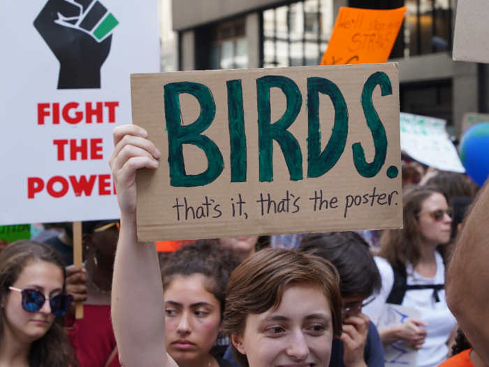 This sign pointed out the effects of climate change on birds while having a sense of humor.