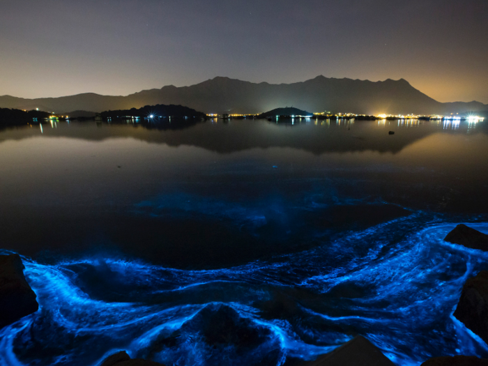 The Red Sea coastline will be altered, according to the plans, with glow-in-the-dark sand added to its beaches.