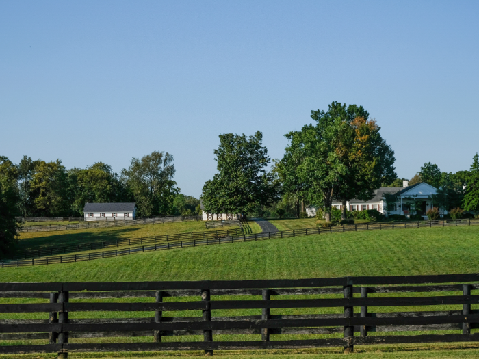 During my time driving around the Lexington area, I drove by dozens of horse farms. Most of them didn