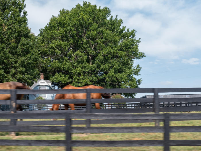 There are about 450 horse farms in the region, and about 150 in Fayette County (which includes Lexington) alone.