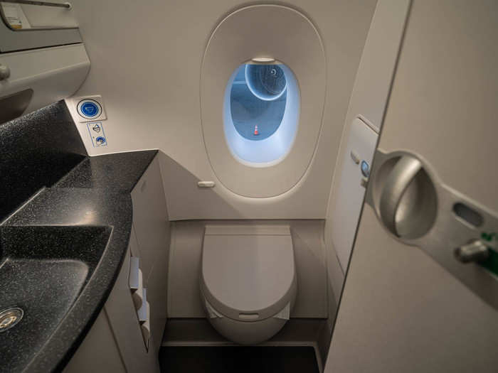 ... Down to the windows in the business class lavatories.