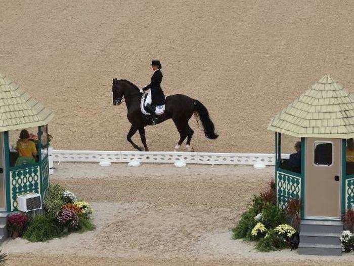 Her website also says the team at Kasprzak Dressage believes no two horses are alike. "I spend a lot of time getting to know my horses and understanding their personalities," she said.