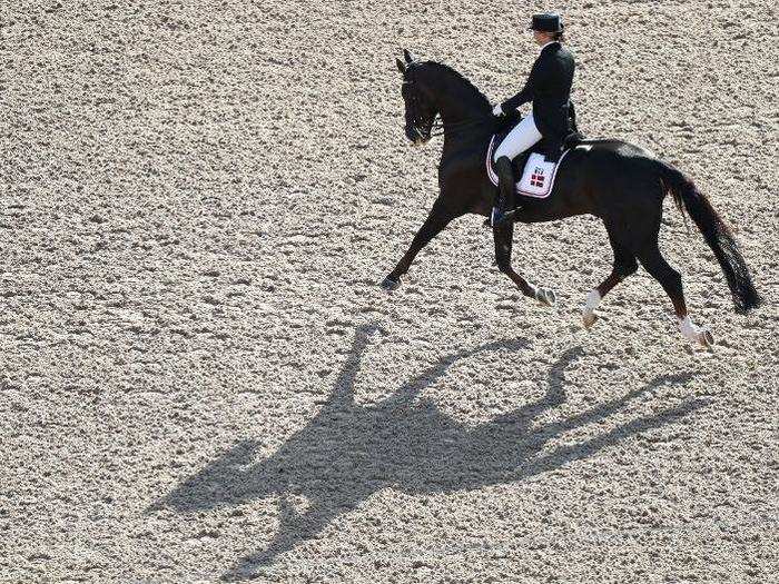 Kasprzak also runs a private dressage barn in Haderslev, Denmark. Some of the horses at the barn are already trained and have been competing with Kasprzak, while others are still being "educated."