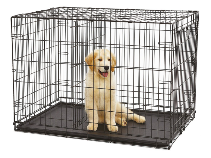 The best crate for puppies