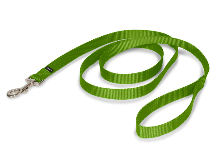 The best leash for puppies