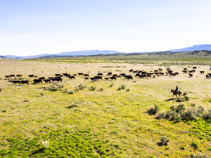 ... and appropriate grazing permits.