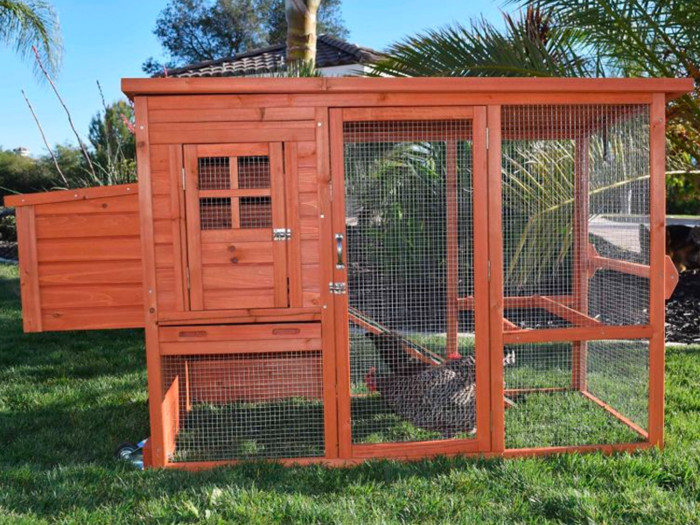 The best self-contained starter chicken coop