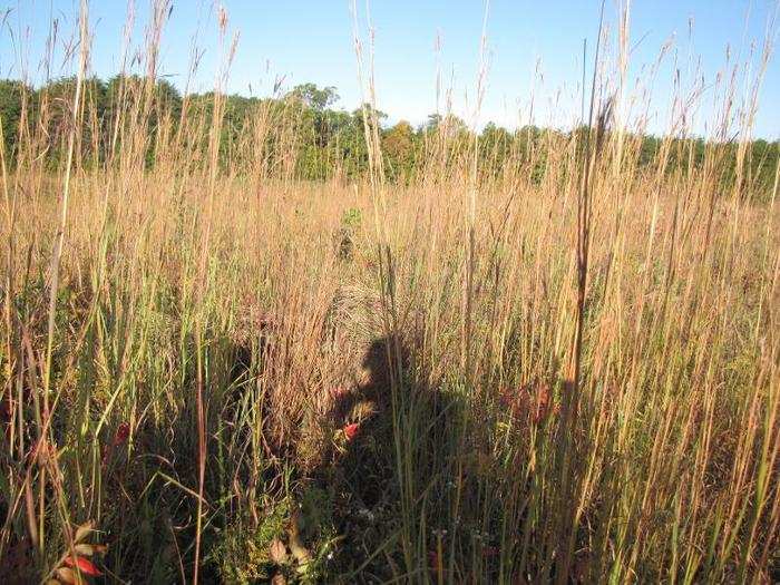 As we hiked into the field, everyone walked right past the sniper. He wasn