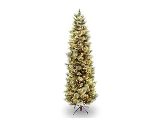 A slim Christmas tree with clear lights