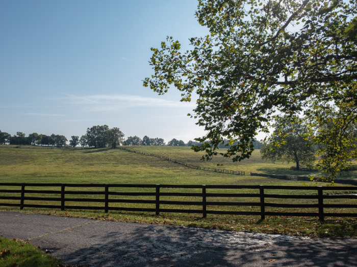 After my tour of Claiborne, I was blown away by the attention and effort that goes into caring for thoroughbreds — and the money made from breeding them.