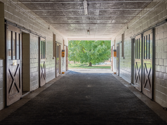 The inside of the stallion barns was immaculate.