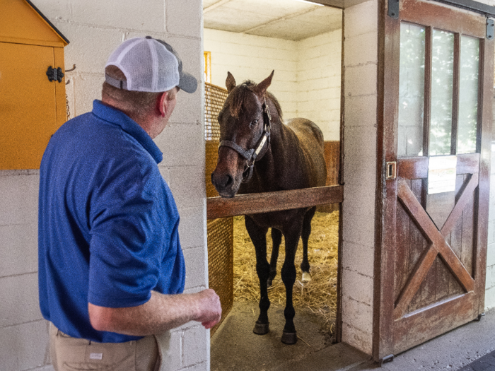 Inside the barn, we said hello to Orb, the Kentucky Derby winner in 2013.