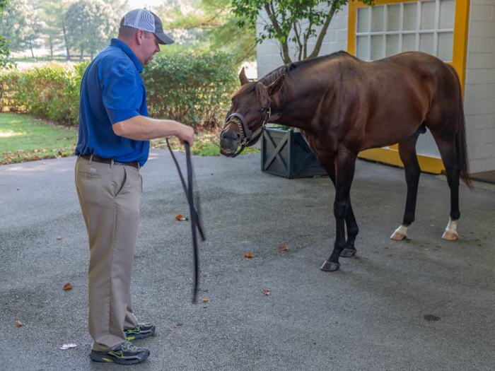 The first stallion John brought out was a 7-year-old former racehorse named Runhappy. The stallion is about 1,400 pounds and bred with 125 mares this year.