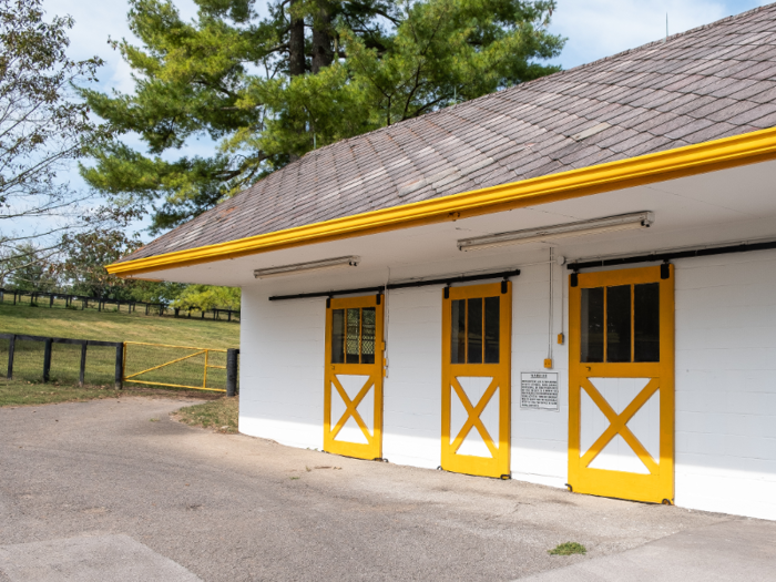 The barns where the stallions live at Claiborne are painted bright white with yellow-gold trim and shingled roofs.