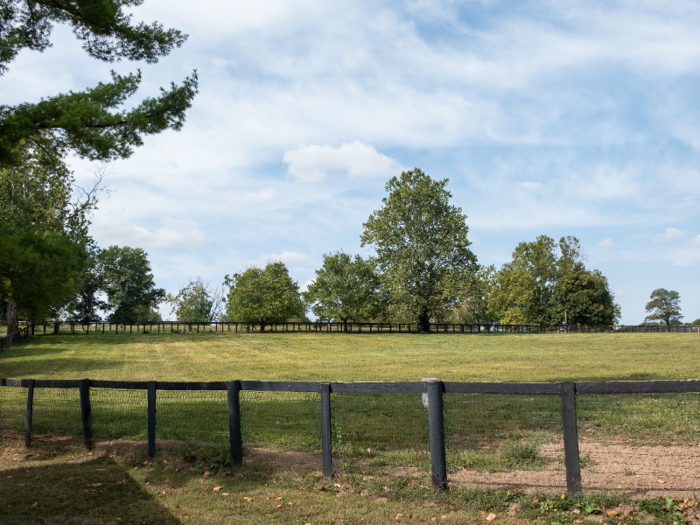 Claiborne Farm, which sits on more than 3,000 acres, has about 20 miles of roads and driveways, 50 barns, and 100 miles of fences.