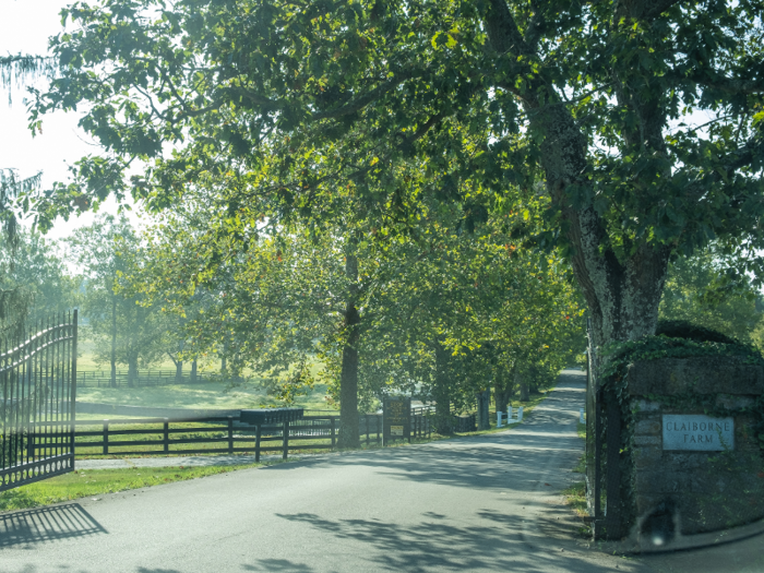 I got to Claiborne Farm at about 9:45 a.m. and made my way down a long driveway lined with tall trees.