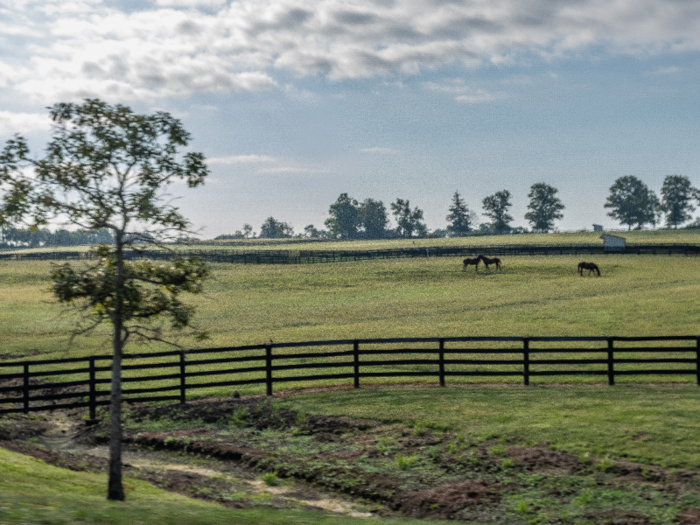 On a recent September morning, I drove out to Claiborne from Lexington. The road took me through bucolic farmland.