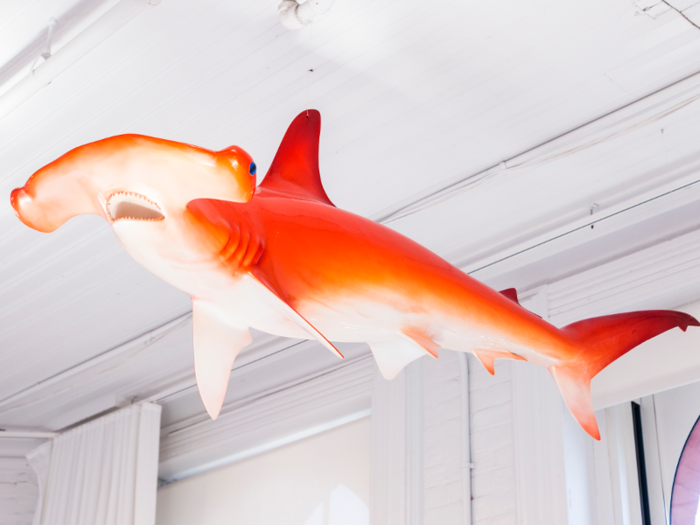 The office is also characterized by bright orange furniture. Around the office, you can see bright orange shark memorabilia as a play on the joke of lawyers being cut-throat "sharks."