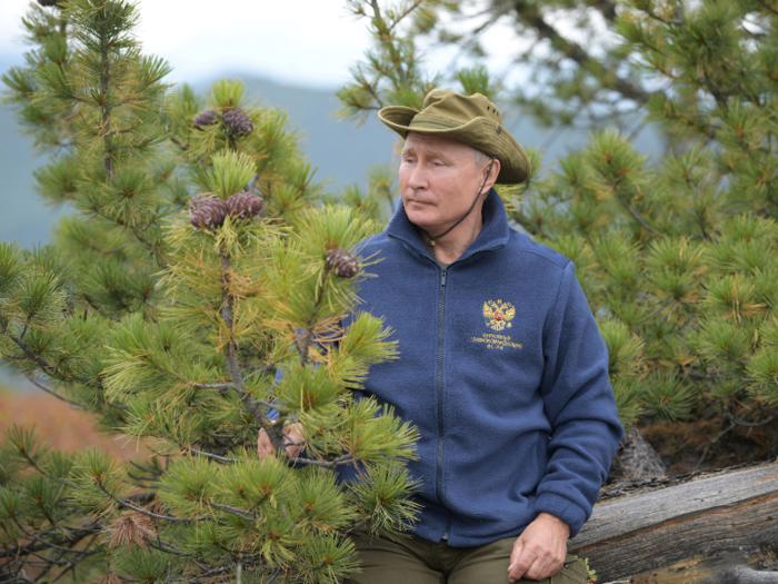 Putin foraged for wildflowers and mushrooms. Here, he appears to admire some pine cones.