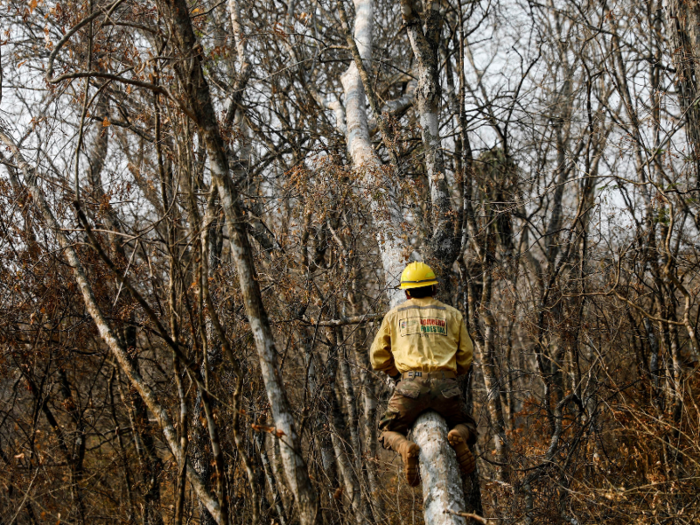 And soldiers, like this one, will continue to monitor the progress of one of the worst years for Amazon Rainforest fires in recent history.