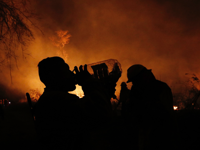 Some volunteer firefighters in Bolivia worked by night to keep cool, and to be able to see the fires more clearly.