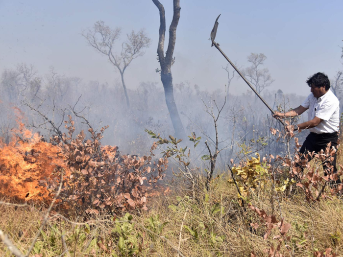 The fires became so bad Bolivian President Evo Morales put his re-election campaign on hold to fight the fires. Despite his firsthand efforts to help, environmentalists have criticized him for passing laws that encourage slash and burning to make room for farmland.