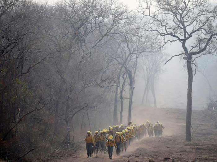 In Bolivia, at least 4.2 million acres of forest have burned. The government sent in 5,000 troops to battle the fires, and said it has spent $20 million on the fight.