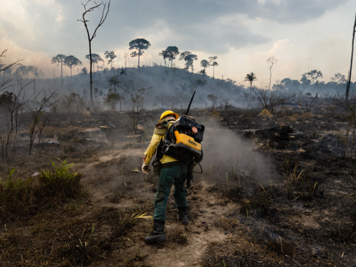 Another member of IBAMA fire brigades extinguishes the smoldering remains of a fire here. Before the fires broke out this year, Bolsonaro spoke about shutting down the organization, because he wanted forested regions to be developed. The government still sent them in, though, and barred members from speaking to the media.