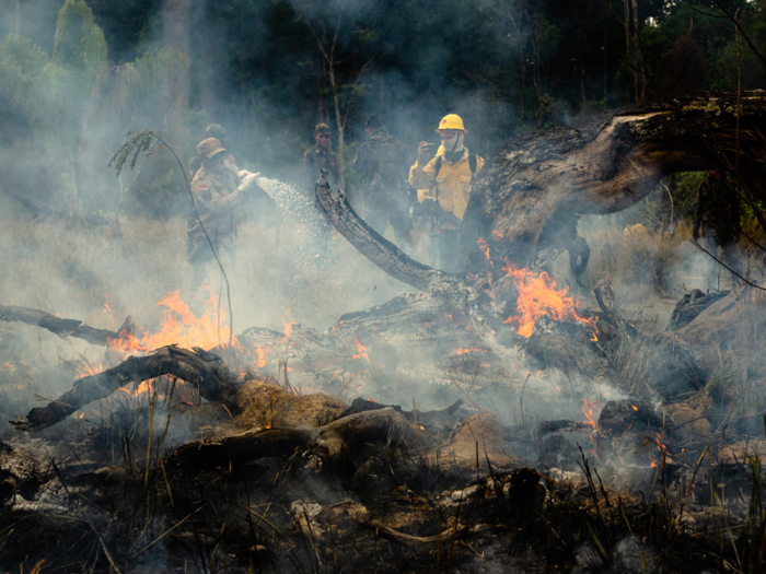 Fires, many of which were started on purpose to clear land for farming, have burned indiscriminately — in parks, ranches, government land, and indigenous land. At the end of August, Bolsonaro also issued a 60-day ban on starting fires.