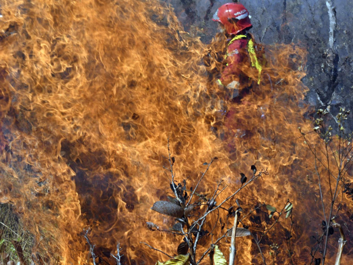 By September, the number of fires burning had fallen to 20,000 — a six year low. It